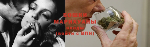 хмурый Каменка